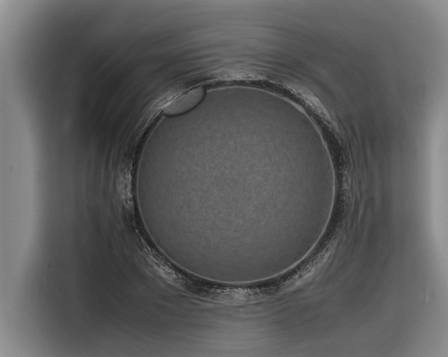 X0000116600881200912111112