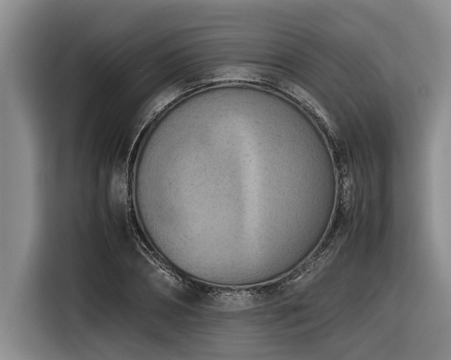 X0000116600882200912111112