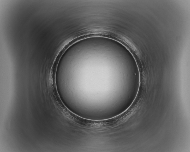 X0000116600883200912111112