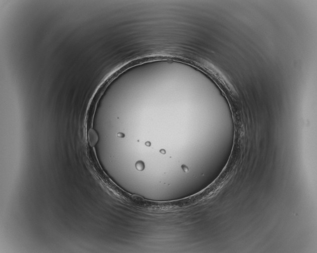 X0000116600884200912111112