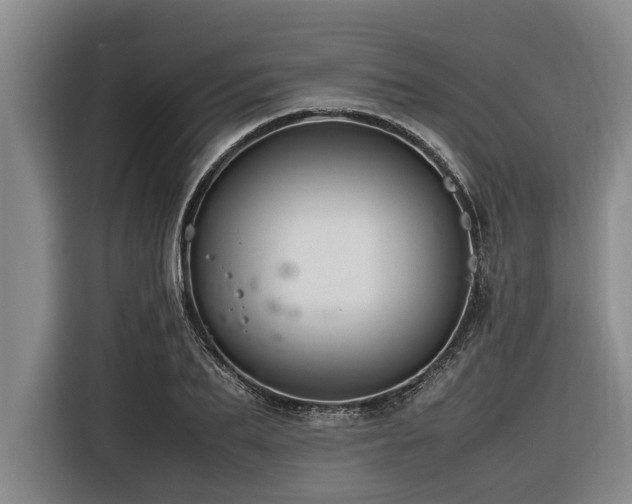 X0000116600887200912111112