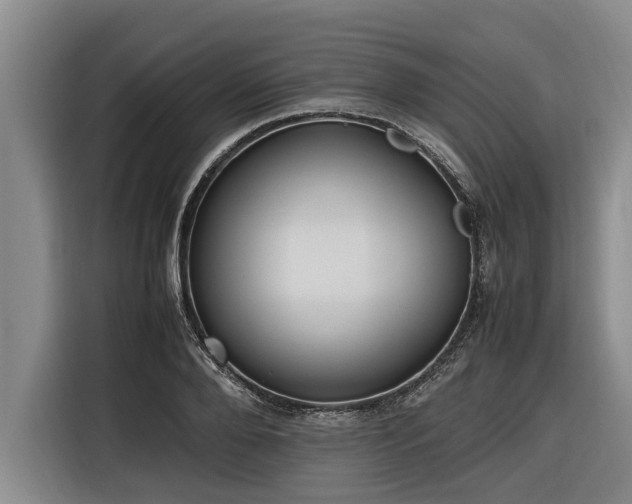 X0000116600888200912111112