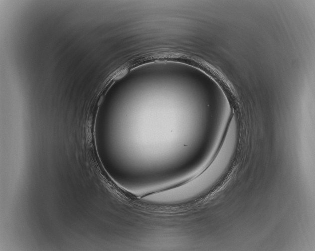 X0000116600889200912111112