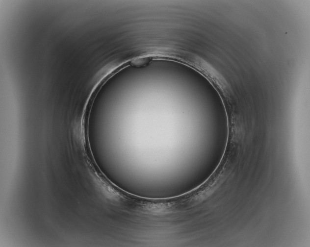 X0000116600892200912111111