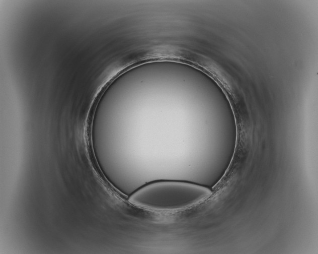 X0000116600893200912111111