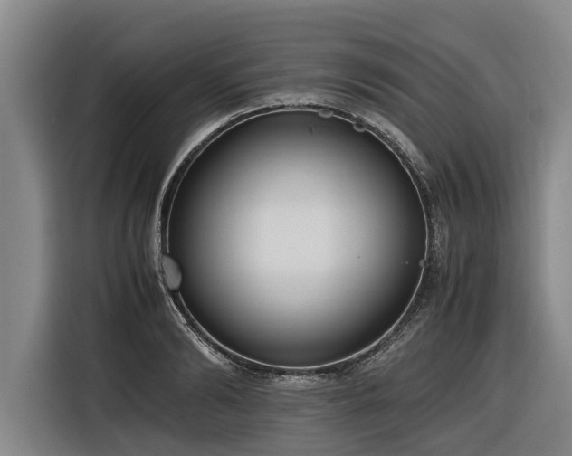 X0000116600894200912111111