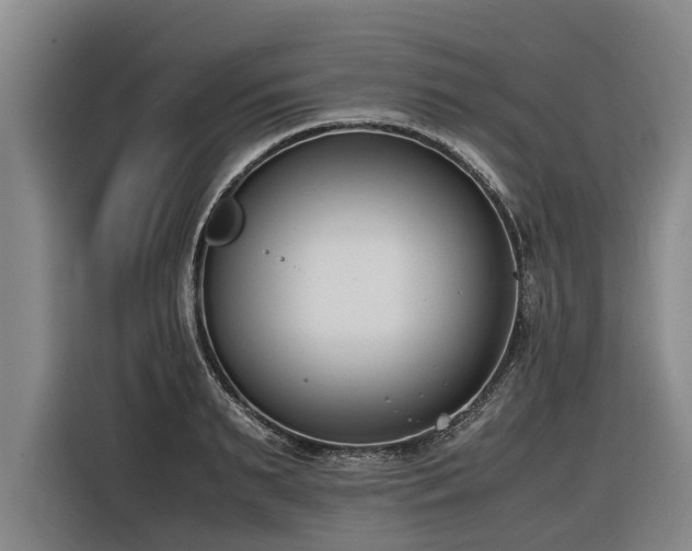 X0000116600895200912111111