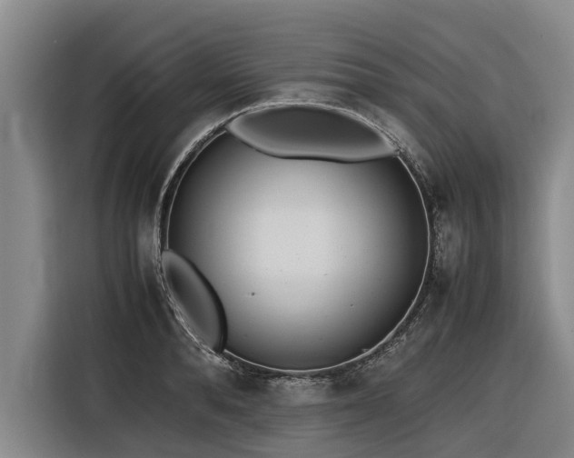 X0000116600896200912111111