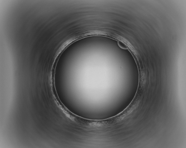 X0000116600898200912111111