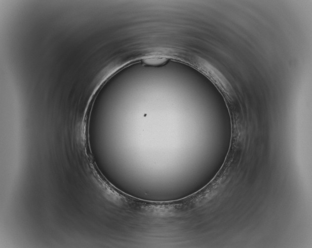X0000116600900200912111111