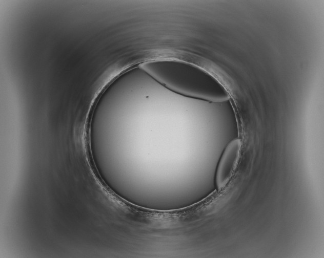 X0000116600901200912111111