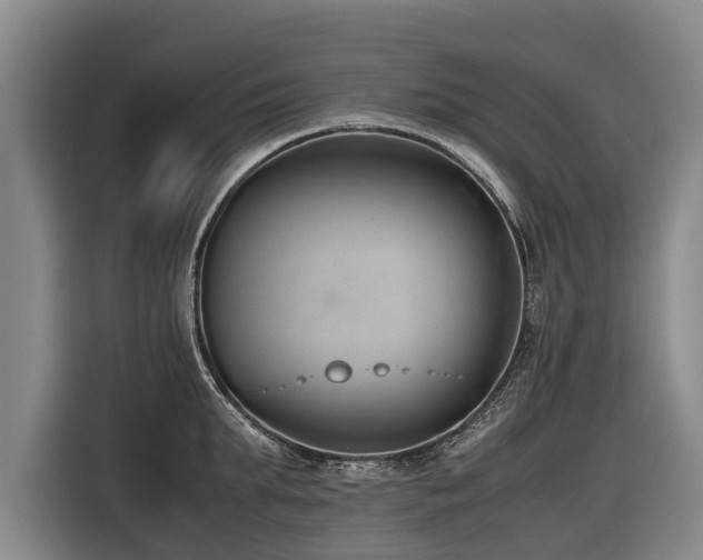X0000116600903200912111111