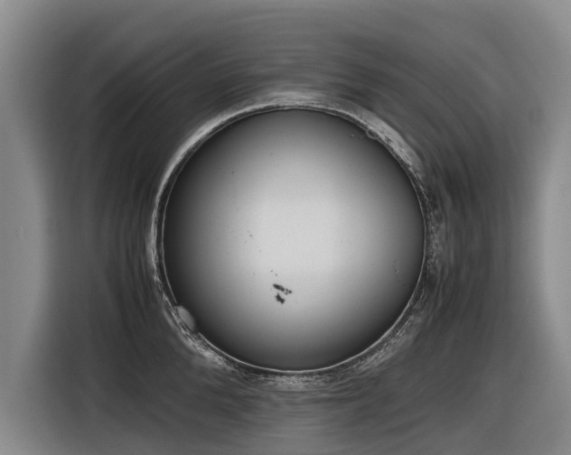 X0000116600904200912111111