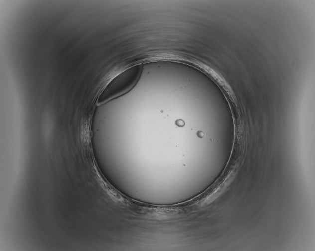 X0000116600905200912111111