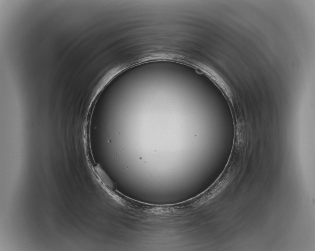 X0000116600906200912111111