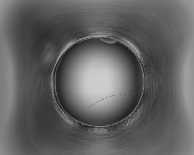 X0000116600907200912111111