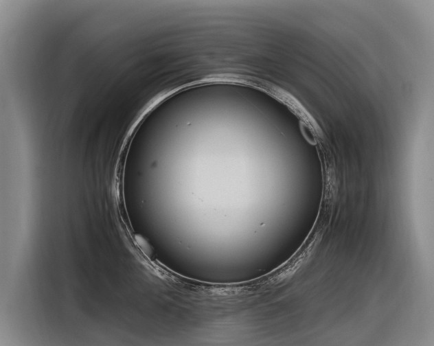 X0000116600908200912111111