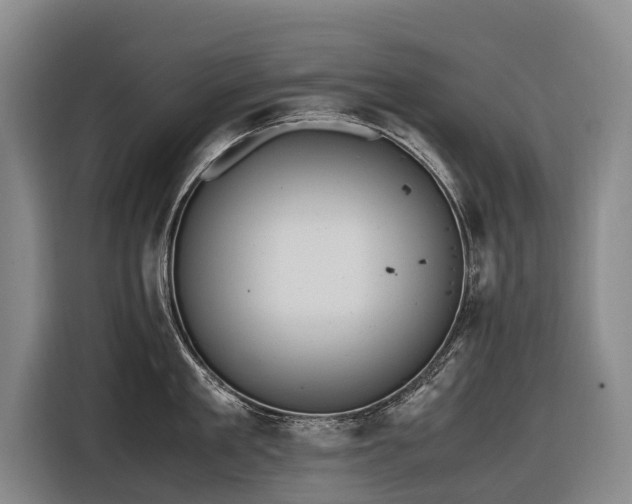 X0000116600909200912111111