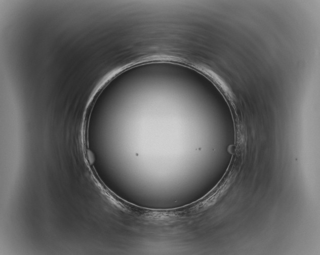 X0000116600910200912111111