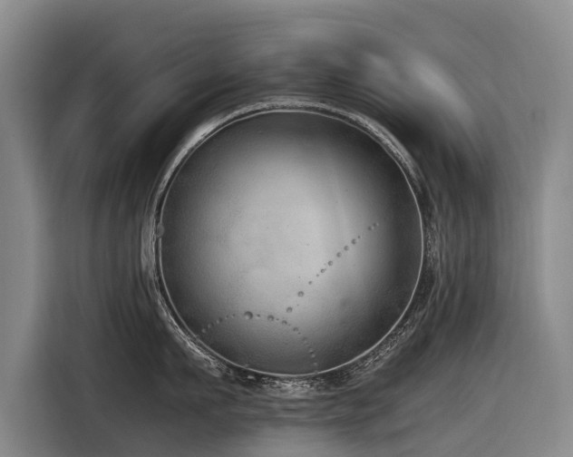 X0000116600911200912111111