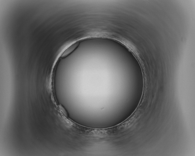 X0000116600912200912111111