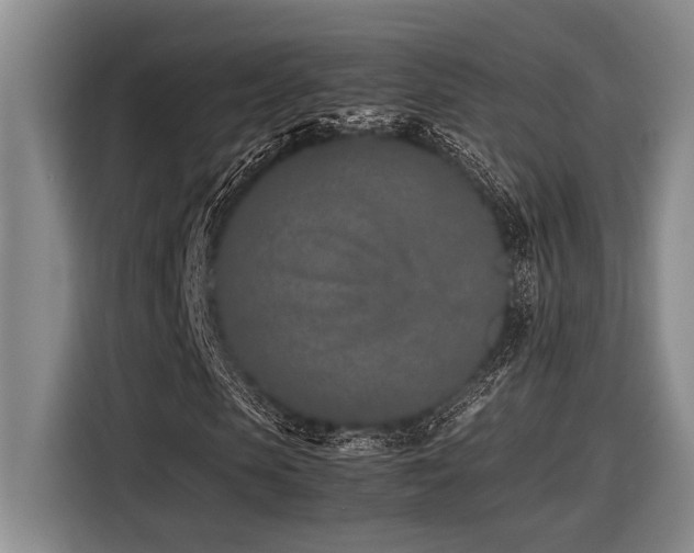 X0000116600913200912111111
