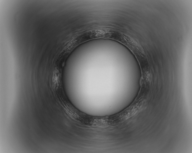 X0000116600914200912111111