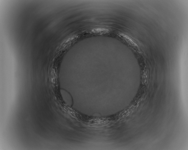 X0000116600917200912111111
