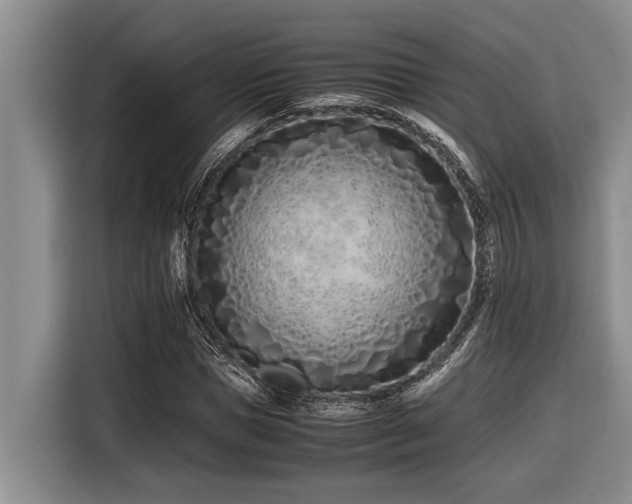 X0000116600921200912111111