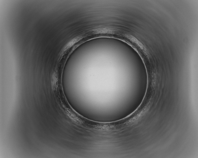 X0000116600922200912111111