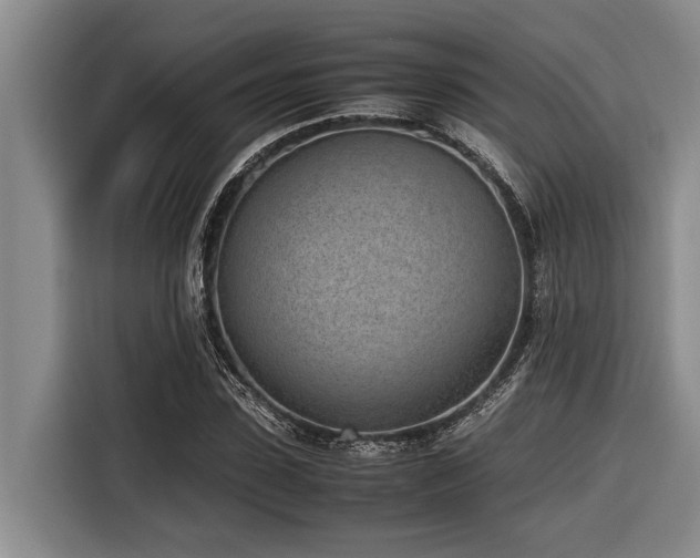 X0000116600923200912111111