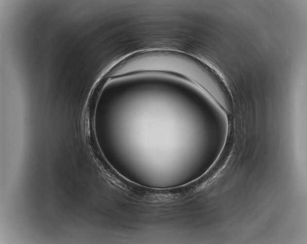 X0000116600925200912111111