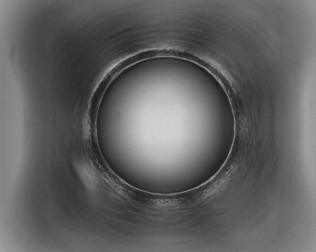 X0000116600927200912111111