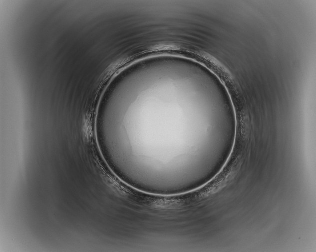 X0000116600929200912111111