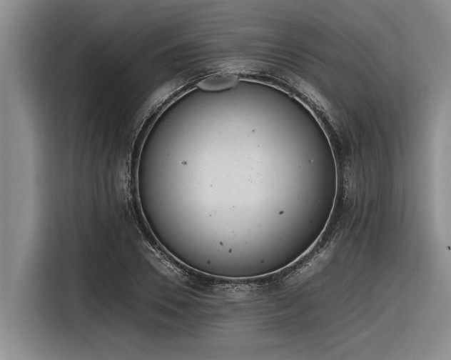X0000116600930200912111111