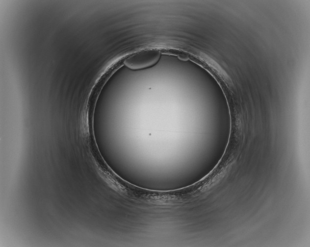 X0000116600934200912111111