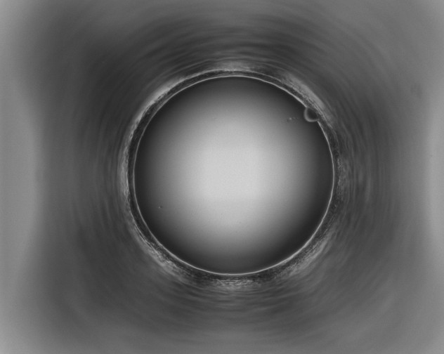 X0000116600939200912111111