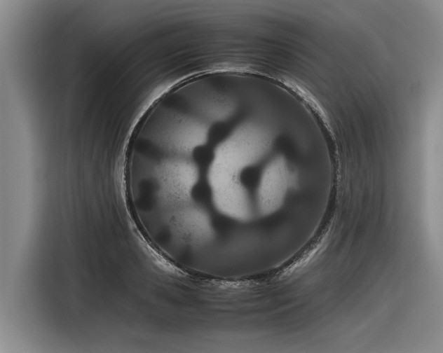 X0000116600941200912111111