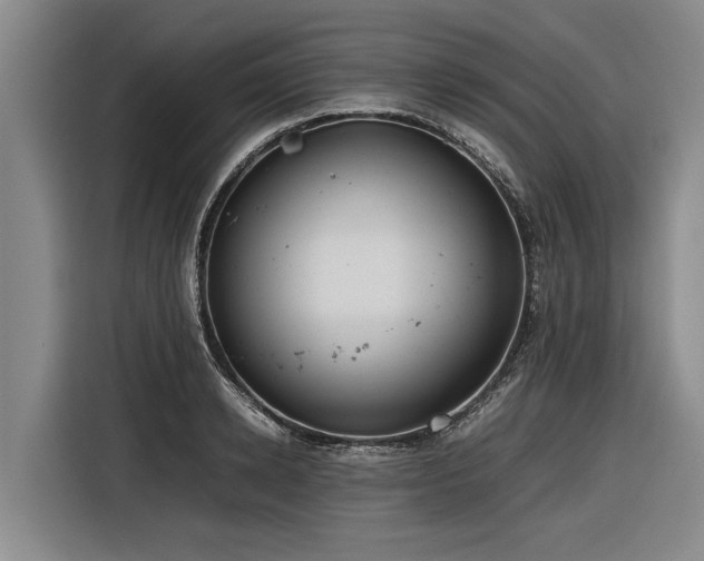 X0000116600942200912111111