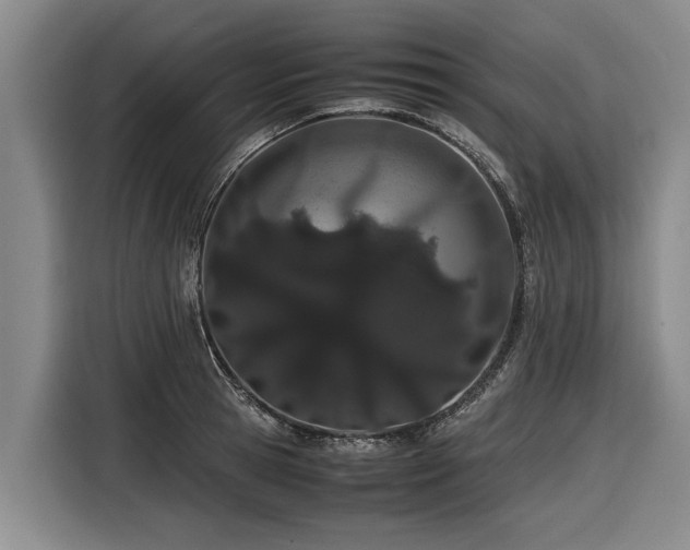 X0000116600945200912111111