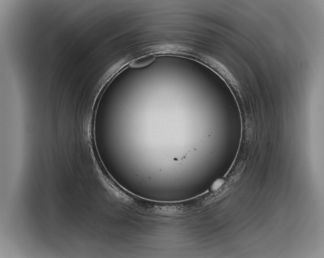 X0000116600946200912111111