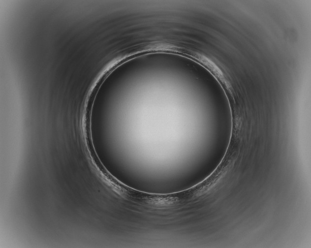 X0000116600947200912111111