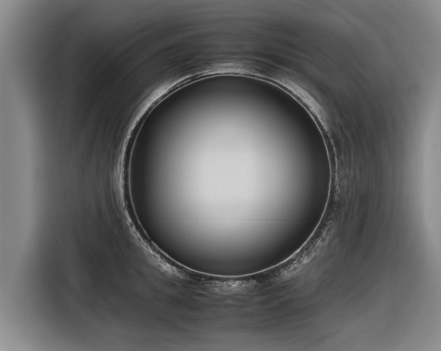 X0000116600949200912111111