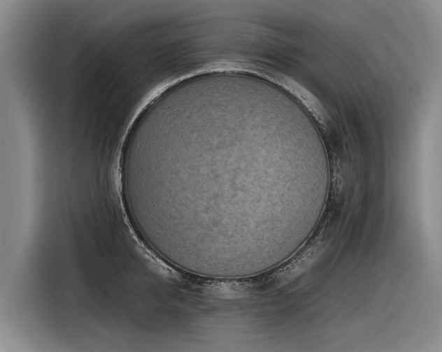 X0000116600950200912111111
