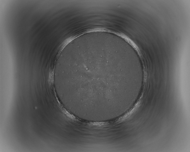 X0000116600953200912111111