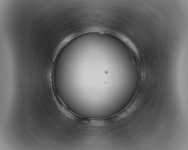 X0000116600954200912111111