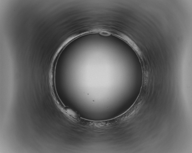 X0000116600955200912111111
