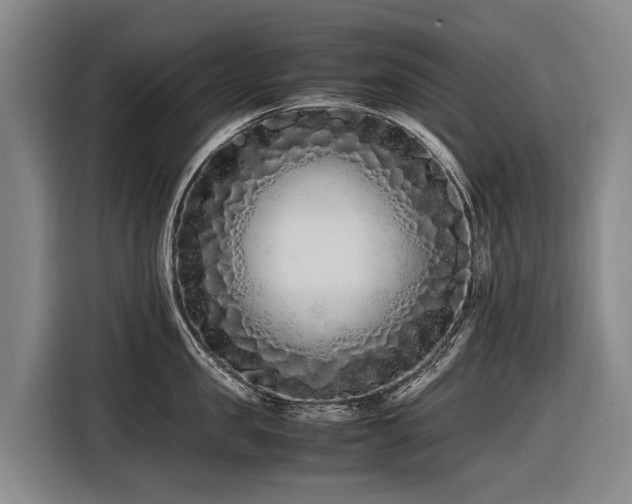 X0000116600957200912111111