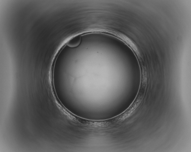 X0000116600958200912111111