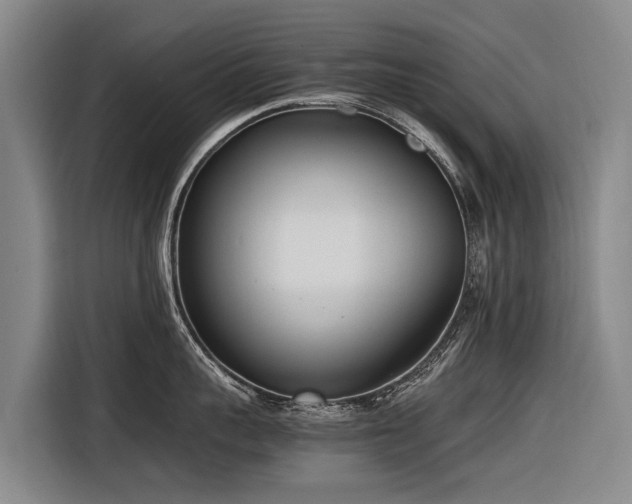 X0000116600959200912111111